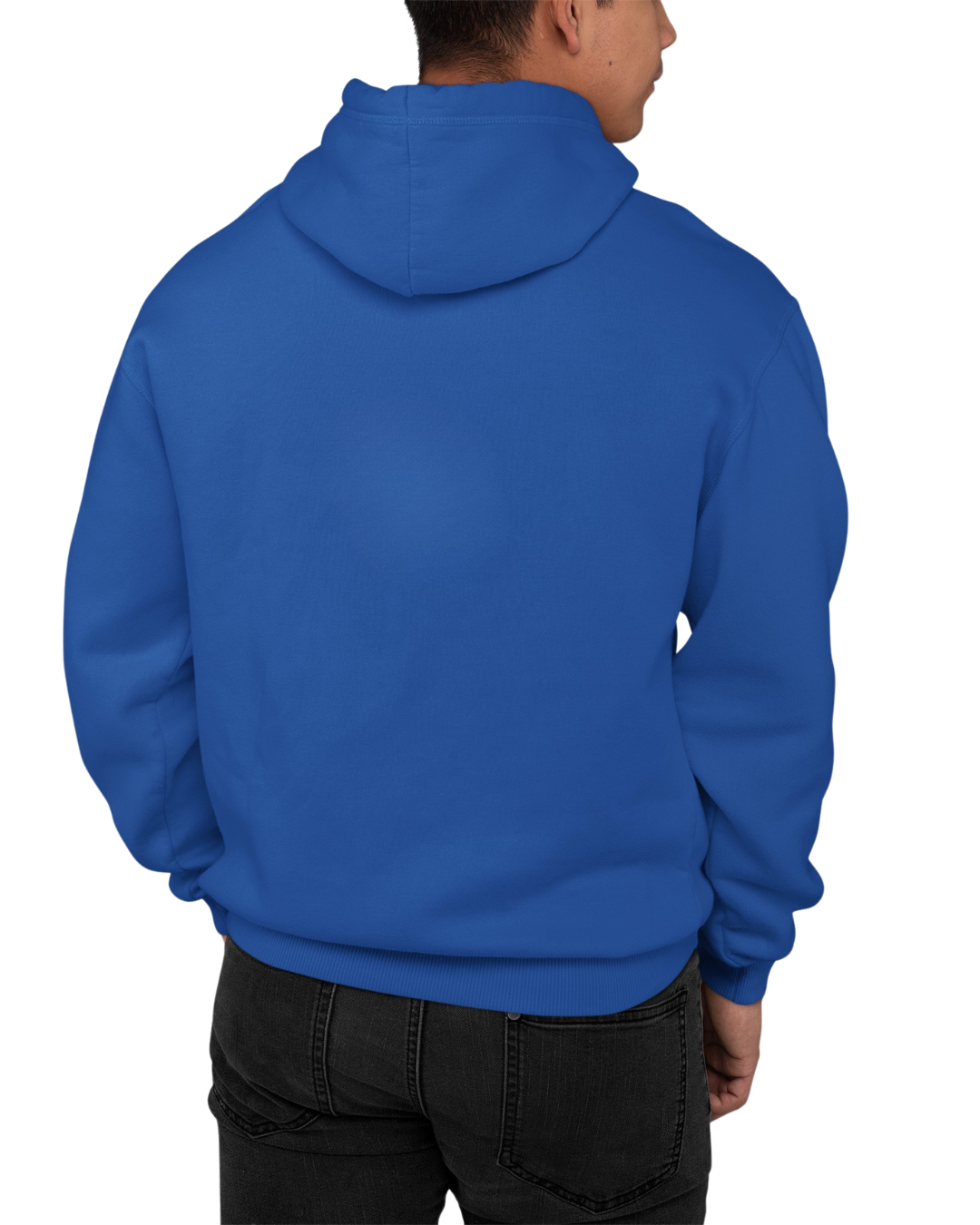 Bosna Flag Hoodie